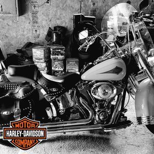 Meet your Posher, Scott